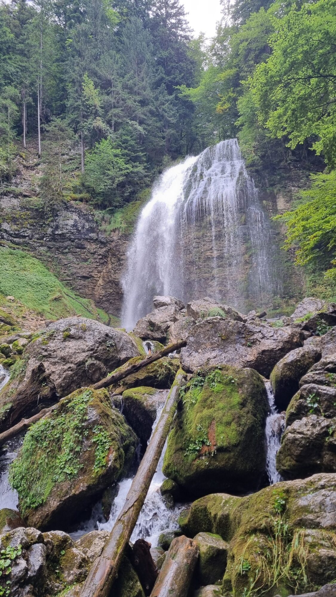 le cirque de saint-même